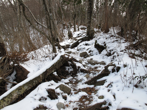 20160218hike (150)